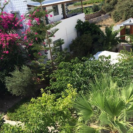 Patmos Villas Grikos Bay  Номер фото