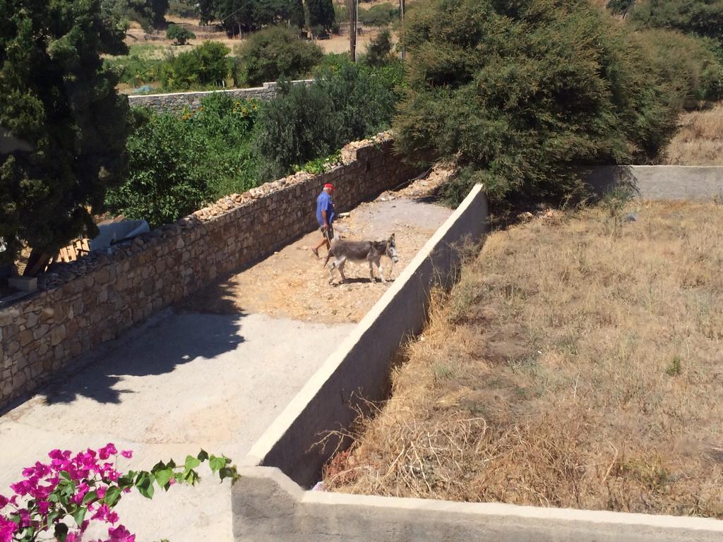 Patmos Villas Grikos Bay  Екстер'єр фото