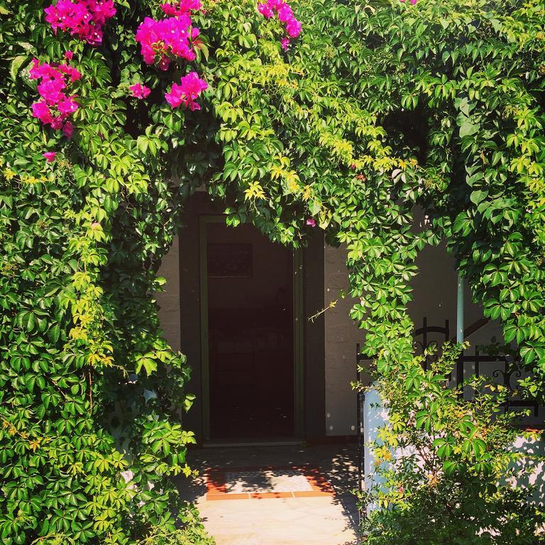 Patmos Villas Grikos Bay  Екстер'єр фото