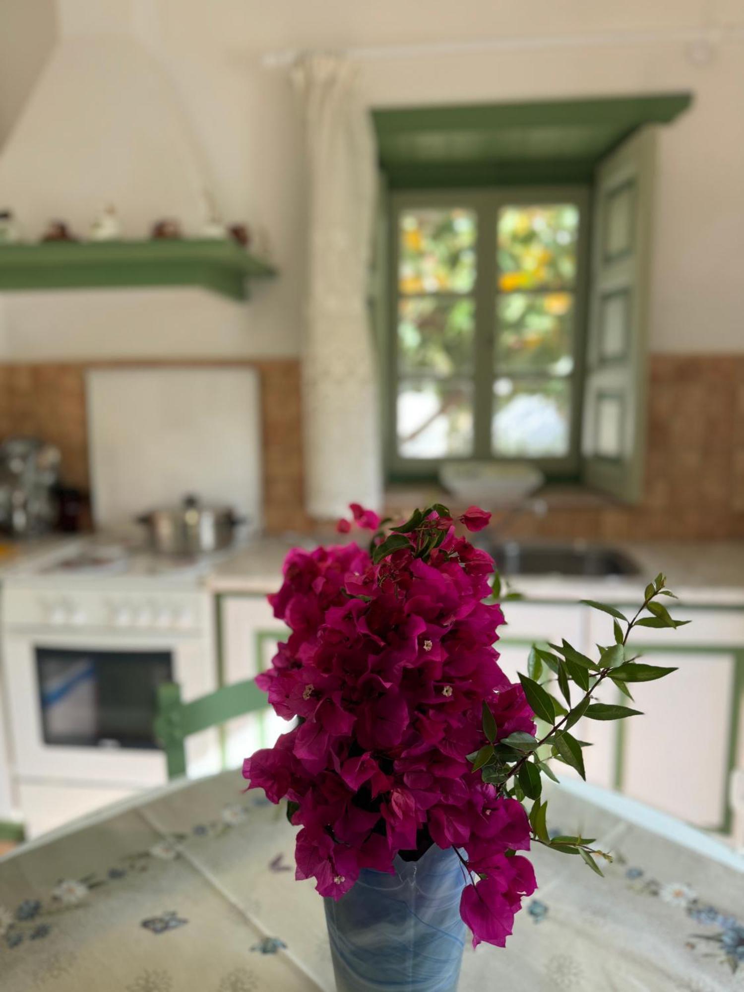 Patmos Villas Grikos Bay  Екстер'єр фото
