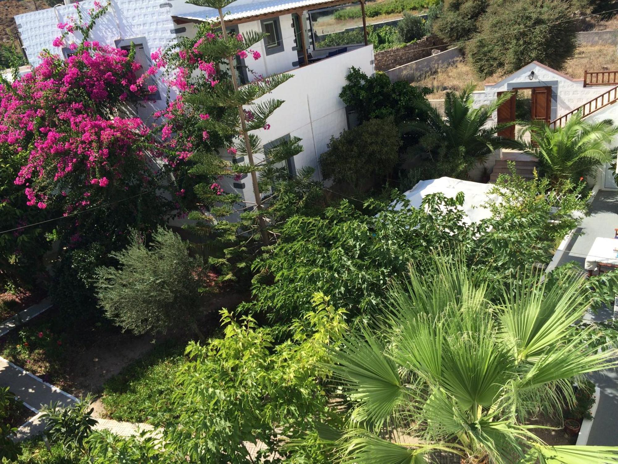 Patmos Villas Grikos Bay  Номер фото